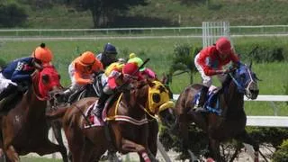 Gaceta Hípica TV: Consigue los mejores análisis del hipismo nacional e internacional (En Vivo)