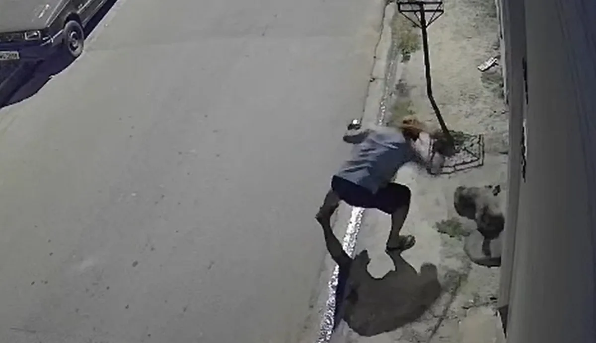 VÍDEO: Homem é preso em flagrante por agredir cachorro a pauladas em Atibaia (SP)