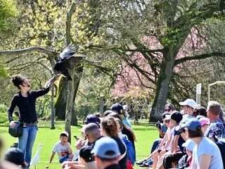 Au parc de Branféré, une application évalue le bien-être des animaux