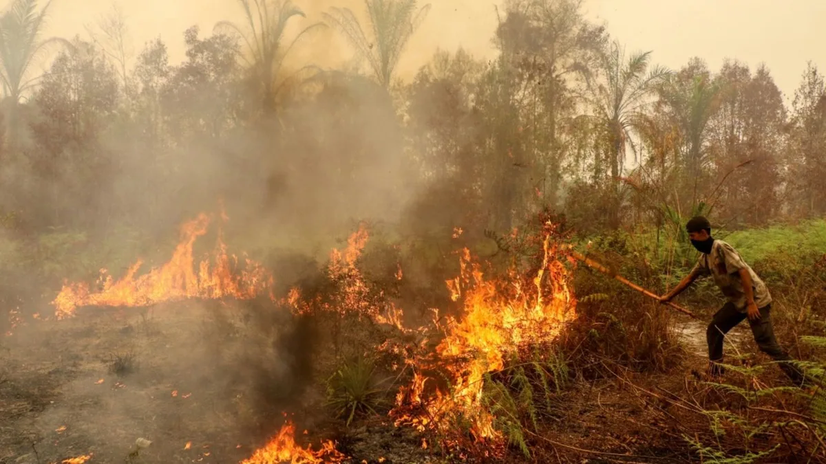 Waldbrände in Indonesien: Mindestens 300 Häuser auf Sumatra zerstört