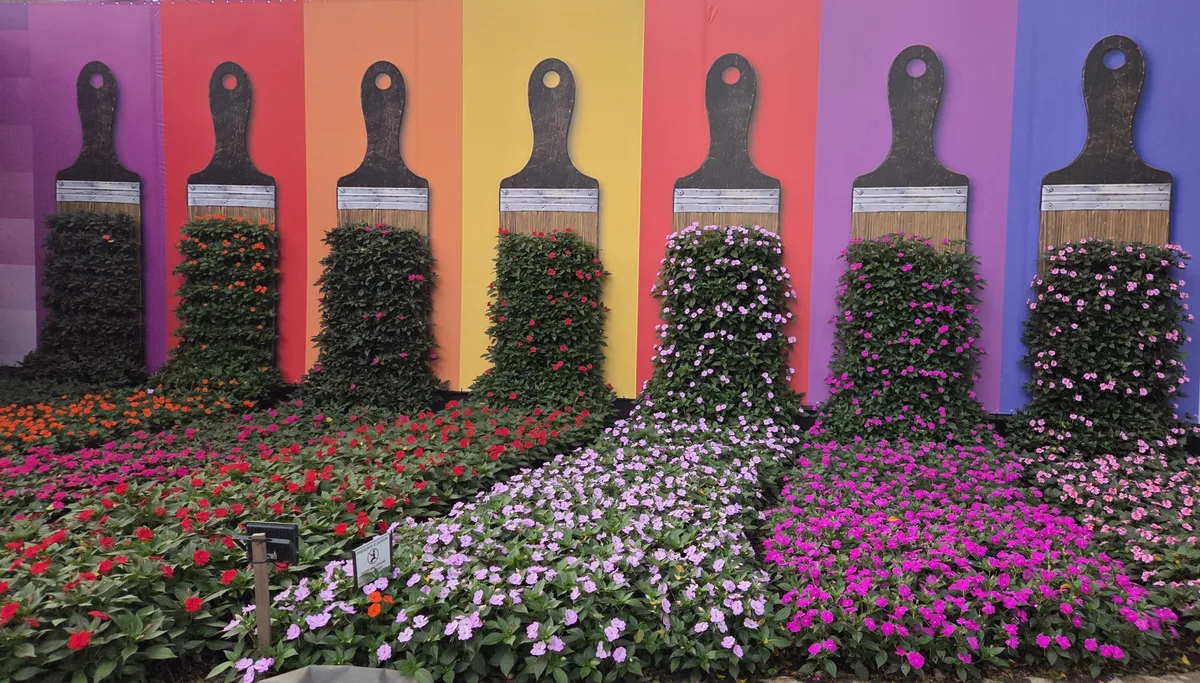 Com novos jardins e moinho gigante, Expoflora anuncia novidades para 43ª edição em Holambra