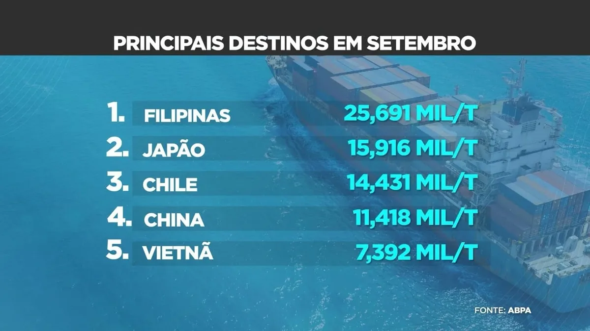 Exportações de carne suína do Brasil crescem 6,2% em 2023
