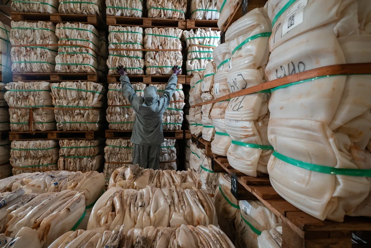 Cidades do MA recebem ações do Dia do Campo Limpo sobre destinação correta de embalagens de agrotóxicos