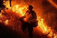 Governo reconhece emergência em 36 cidades do Amazonas após incêndios