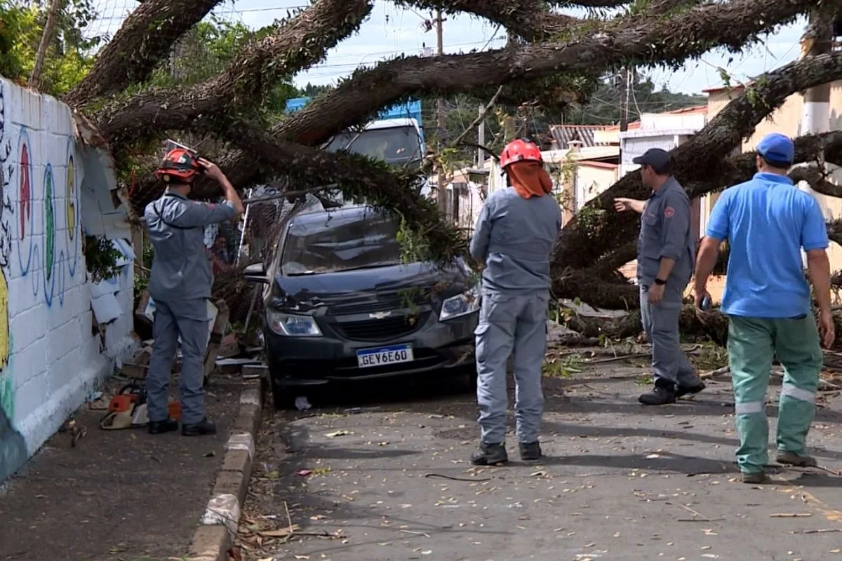 Campinas atribui a eventos climáticos extremos alta de 202% nas quedas de árvores