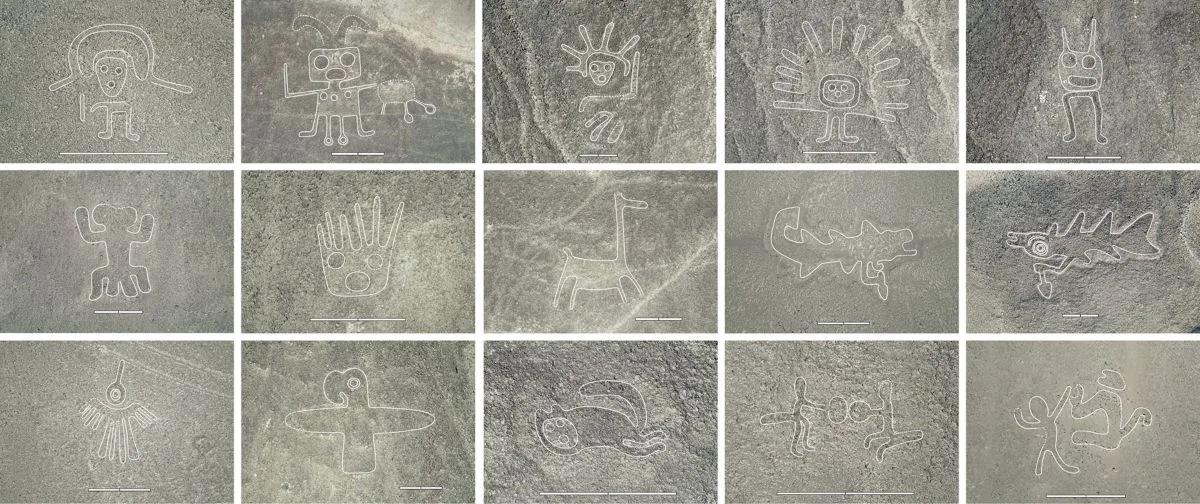 ギャラリー：ナスカの地上絵、研究100年 AIで続々と発見重ね「解読」へ 写真6点
