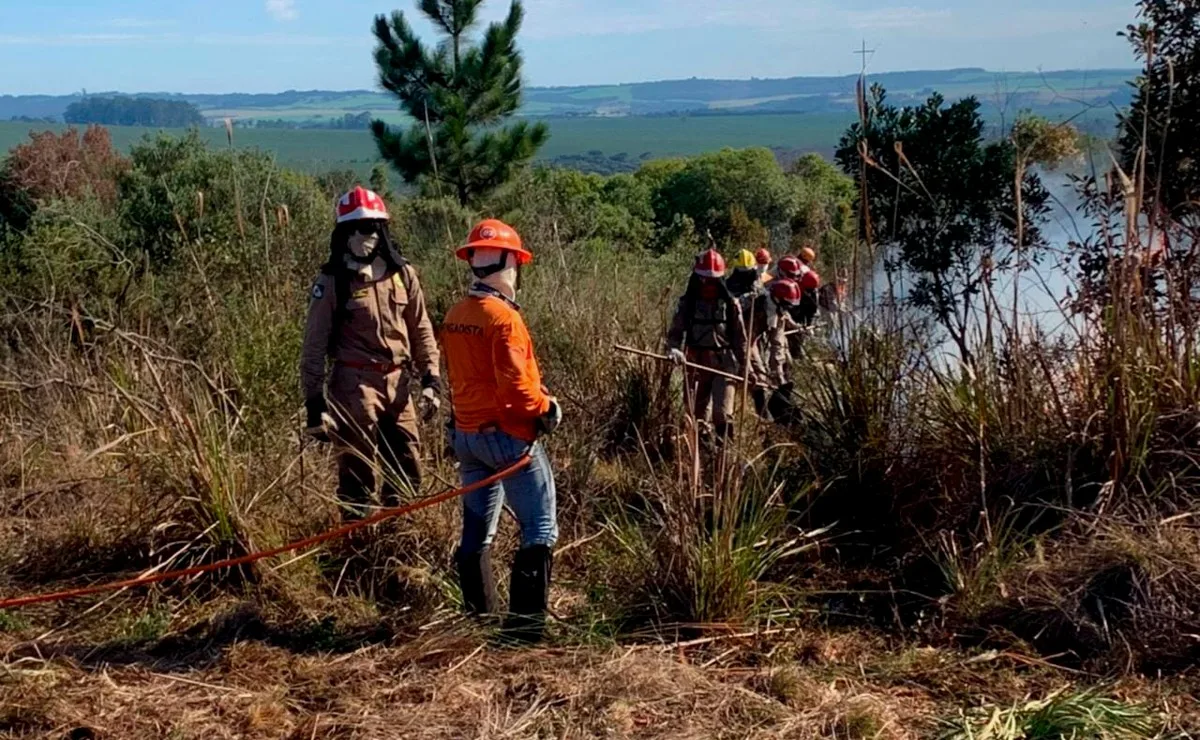 Quer ser voluntário em situações de desastre? Defesa Civil do Paraná abre inscrições para curso gratuito