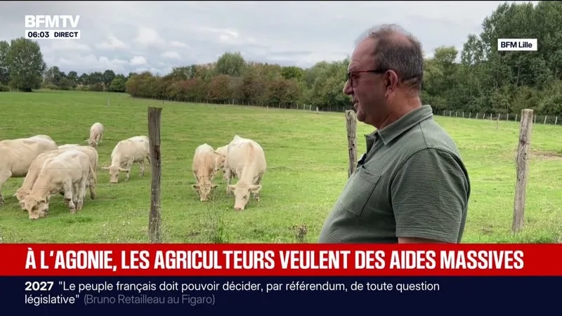 "La perte financière est énorme": De nombreuses exploitations agricoles mises en péril par la sécheresse
