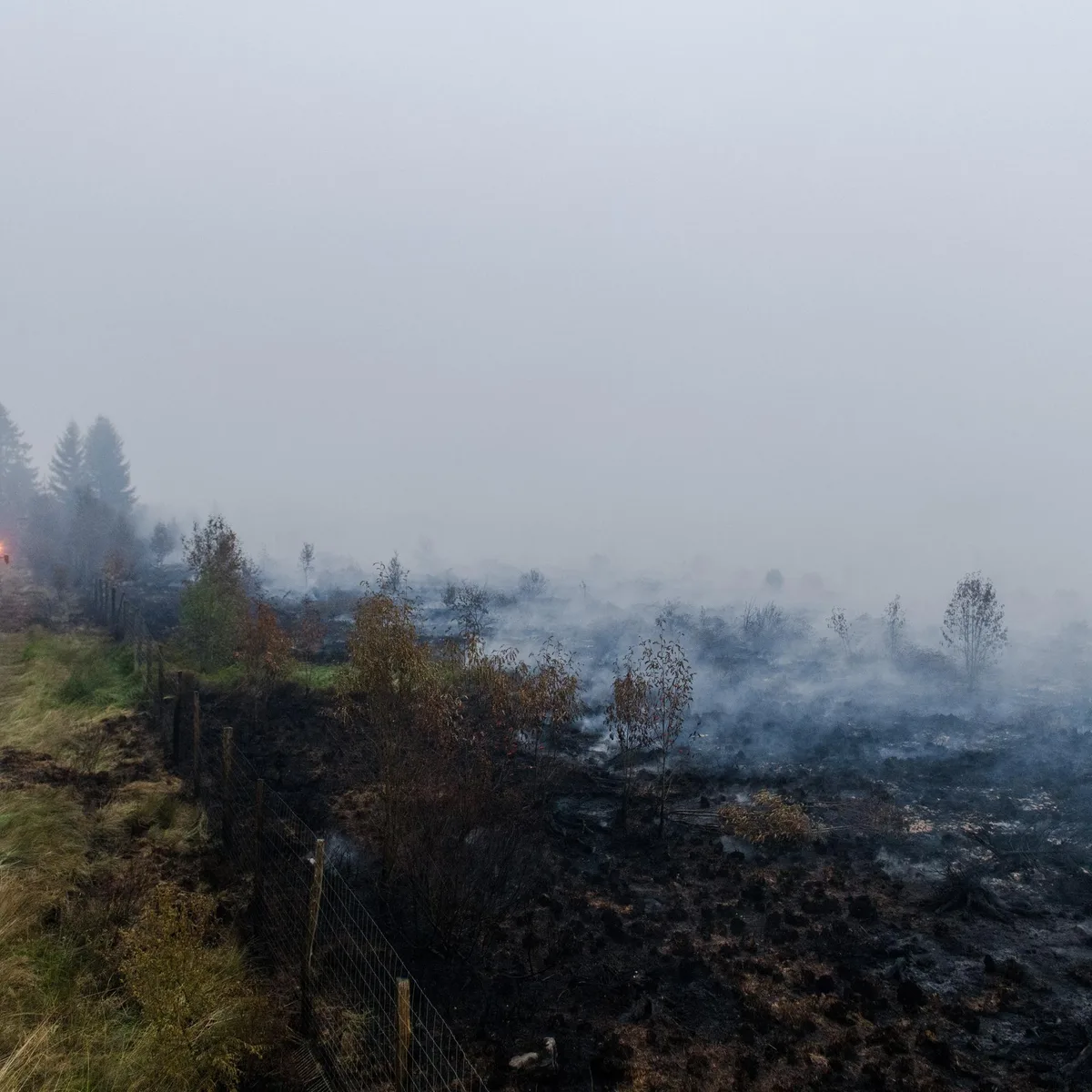Belgien - Feuer im Hohen Venn führt zu Brandgeruch bis Köln und Frankfurt