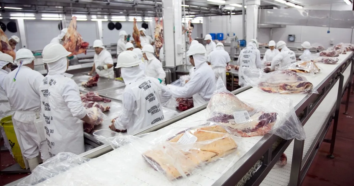 Las exportaciones argentinas a la Unión Europea crecieron un 19% en los primeros siete meses del año