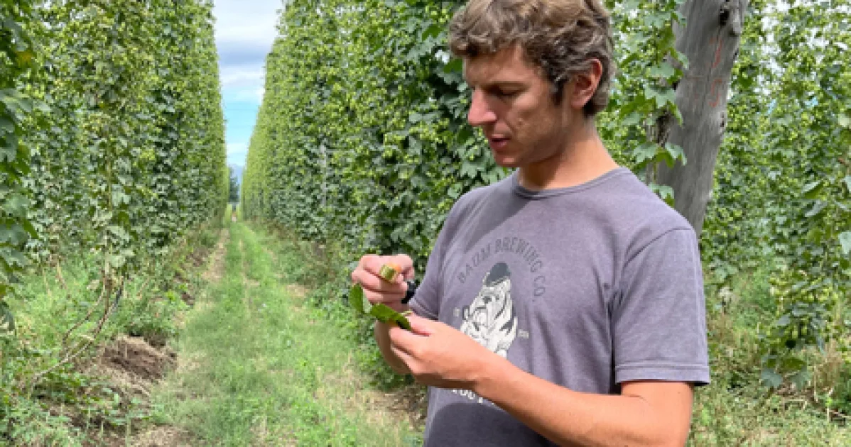 El lúpulo de El Bolsón llegó a Inglaterra para crear una cerveza con identidad argentina