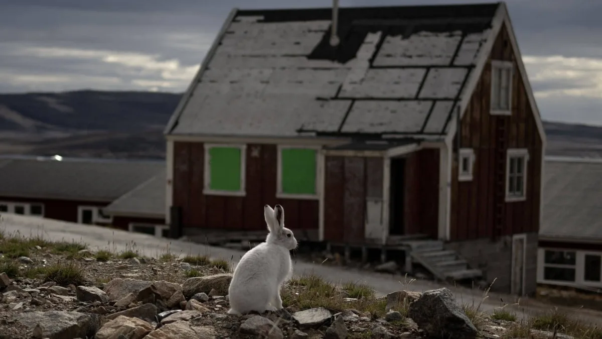 US, Greenland, Denmark to sign deal at UN in New York in bid to end Arctic stand-off