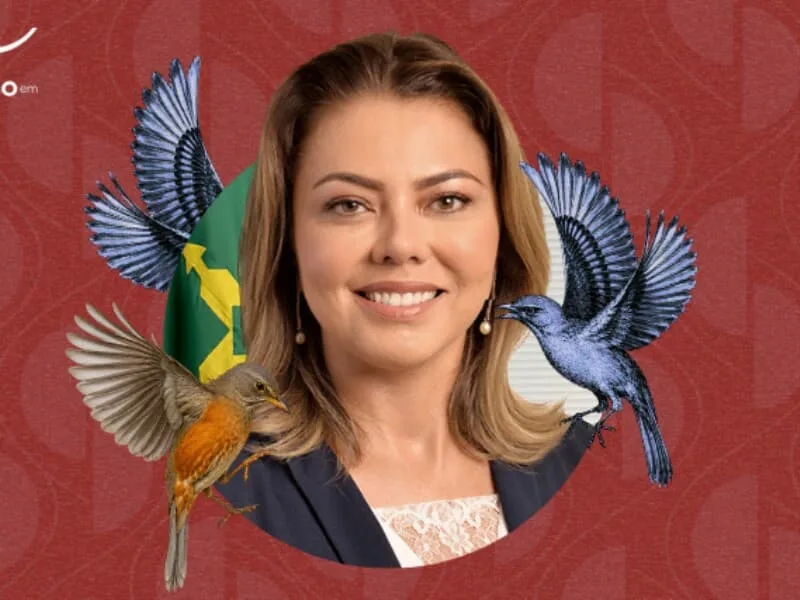 Júri de jornalistas destaca Leila Barros entre senadores bem avaliados