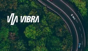 Vibra (VBBR3): lucro dispara 8 vezes e vai a R$ 2,35 bilhões no 2º trimestre