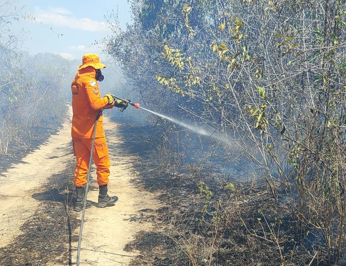 Roraima registra mais de 40 focos de calor, entra no período seco sem transição e sob alerta de super El Niño