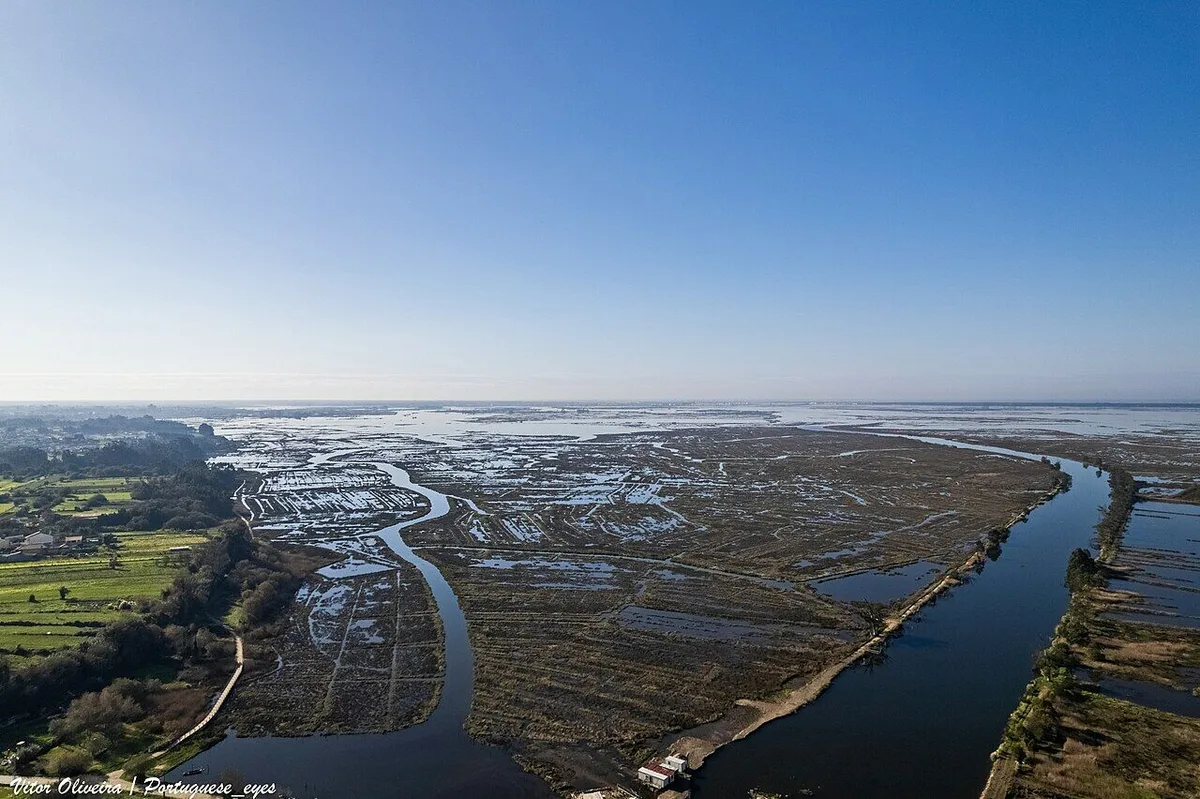 “Ilha” privada na ria de Aveiro em leilão por 750 mil euros. Prazo termina sexta-feira