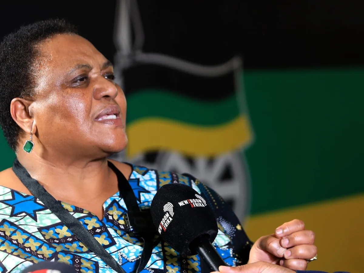 ‘Caretaker’ justice minister Didiza cannot recall TRC meetings 20 years ago