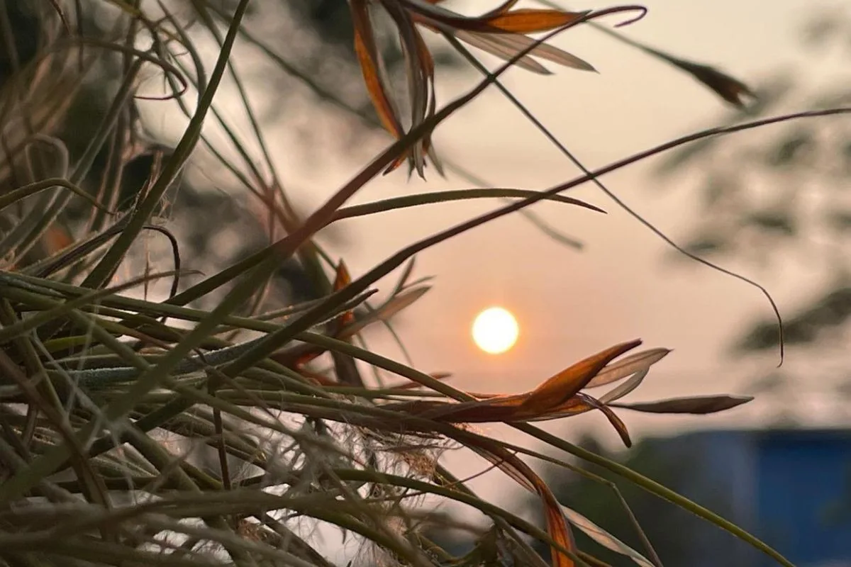 Aniversário de Campo Grande tem alerta de tempestade e mudança de temperatura; veja a previsão