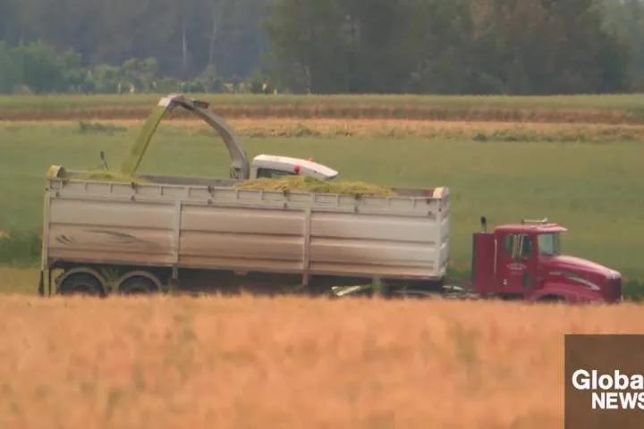 AgriStability reopened for Alberta farmers impacted by extensive summer rains