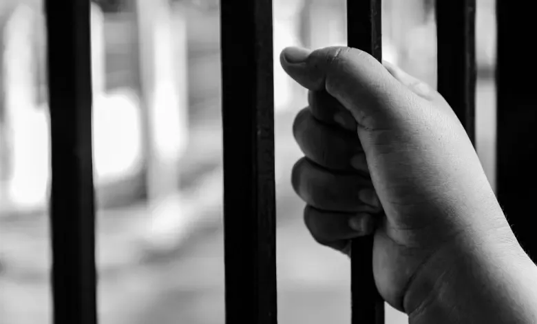 Operativo federal en Memphis dejó a más de 100 personas bajo custodia