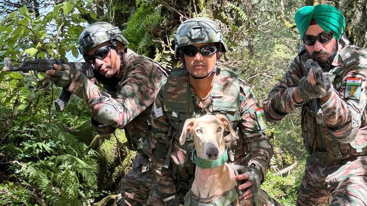 Rampur Hounds join India-U.S. troops for specialised drills at Yudh Abhyas