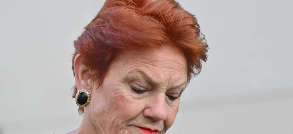 Political leaders condemn Pauline Hanson over resurfaced remarks about Indigenous culture