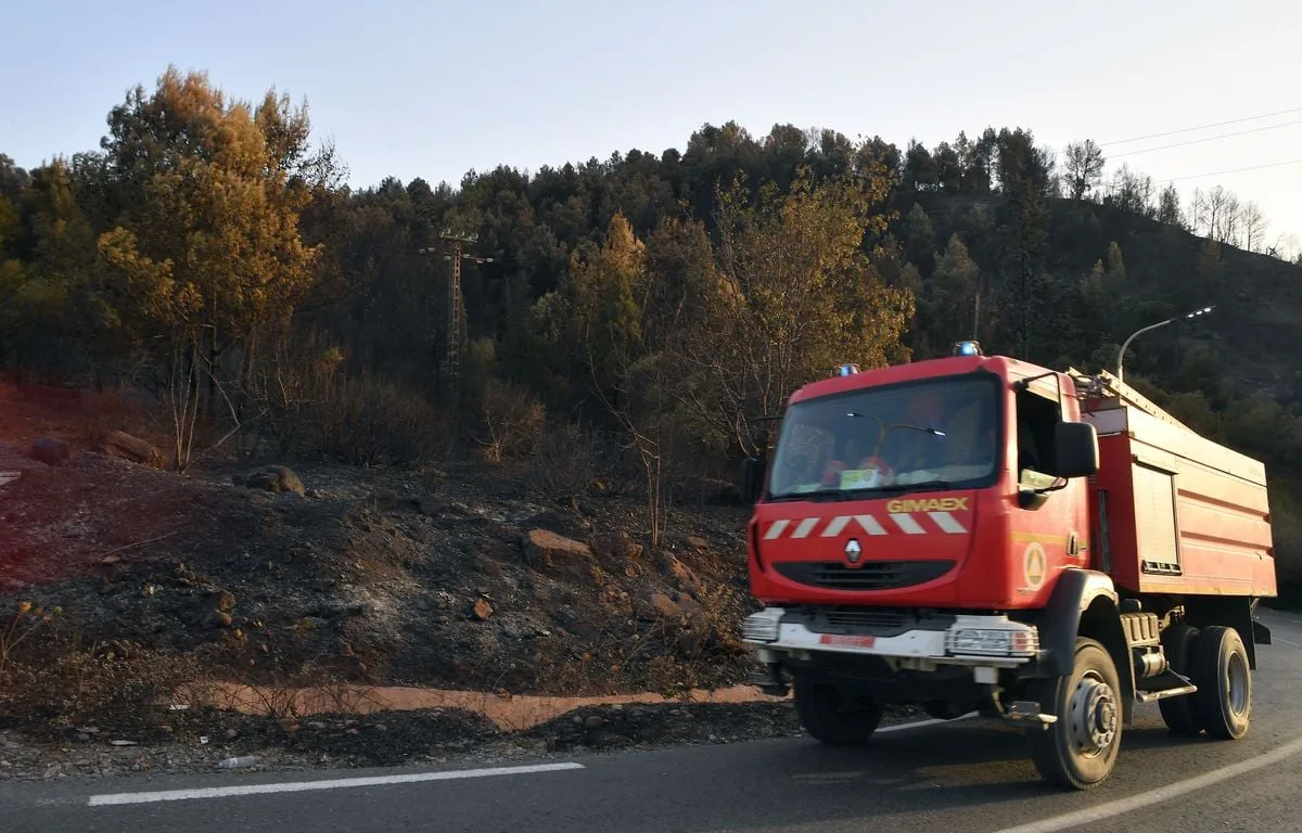Des incendies de forêts font au moins 12 morts en Algérie