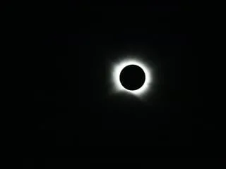 EN IMAGES. « Juste des cris de joie sur l’océan » : cet équipage a vécu l’éclipse solaire totale en pleine mer