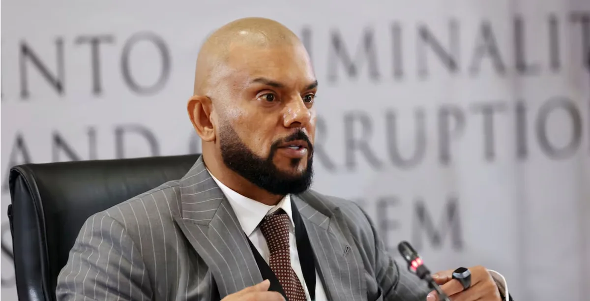 ‘We’ll never know’: Carrim’s obstinacy meets Madlanga’s wrath