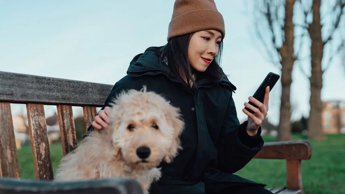 Neue Beobachtungen - Warum Smartphones für mehr Straßenkot sorgen