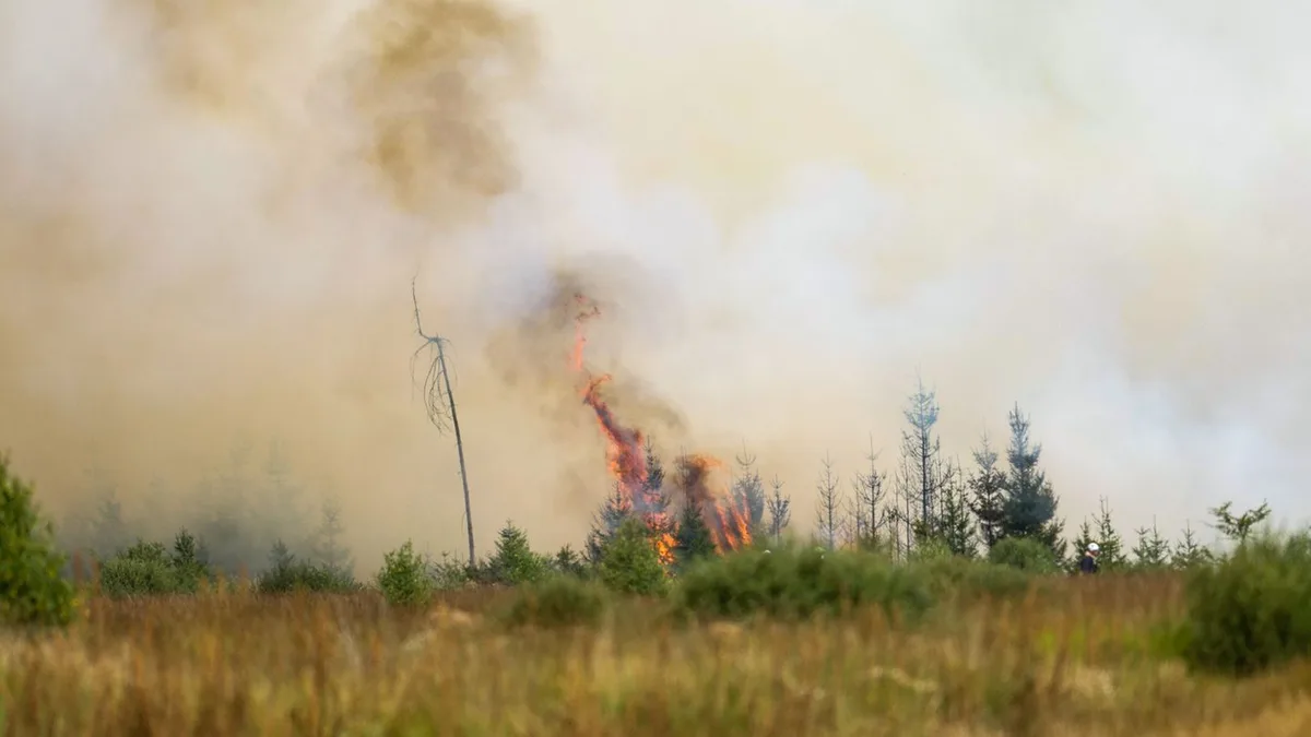 Folgen der Waldbrände: Brandgeruch treibt bis nach Hessen