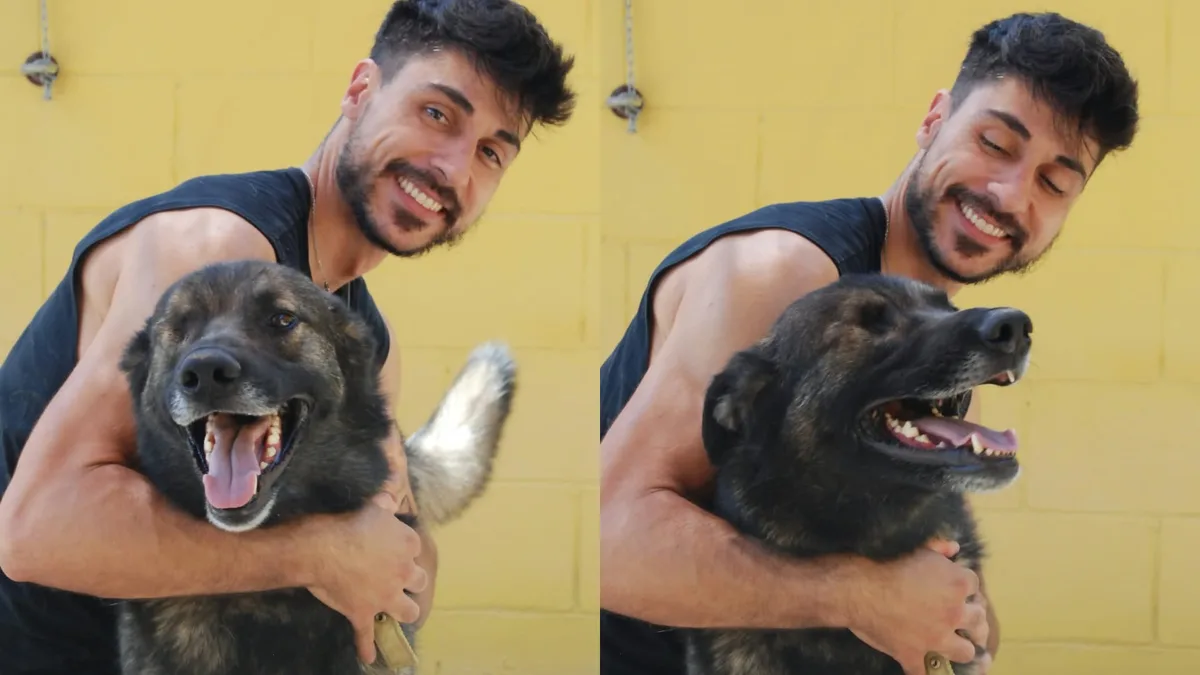 De analista de datos a educador canino, la historia de Guillermo y sus consejos sobre la adopción: “Un error habitual es infravalorar el compromiso que requiere un perro”