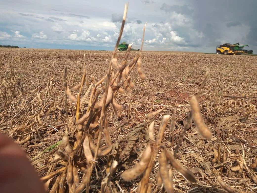 Aprosoja-GO e Faeg possibilitam antecipação do plantio de soja em Goiás