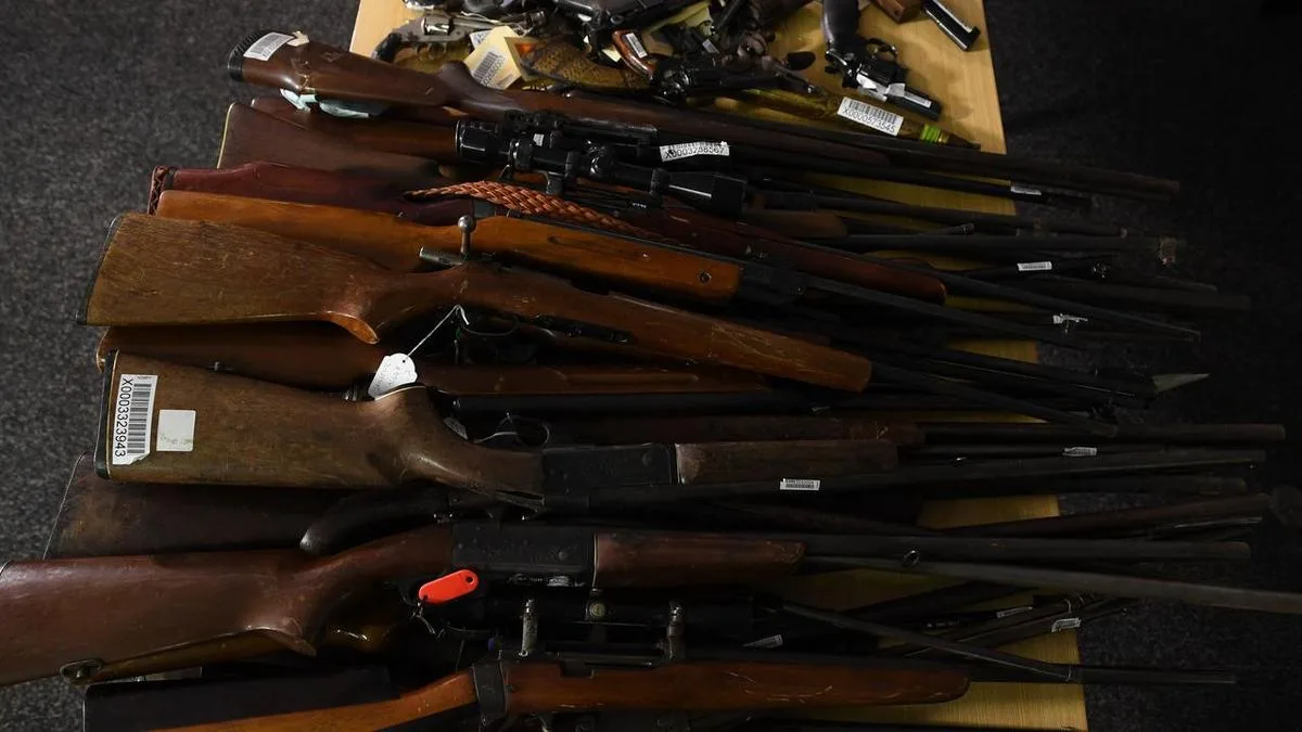 Gun licences limited to citizens in firearms overhaul