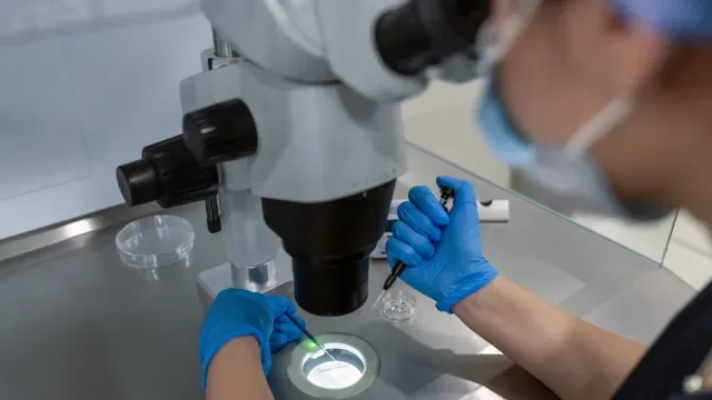 Dez inseminações pós-morte desde 2024 em Portugal. Nasceram dois bebés