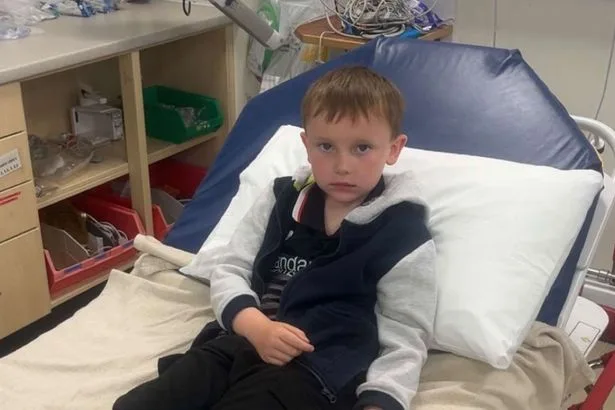 Schoolboy rushed to hospital after hand turns blue from petting 'worm' in park