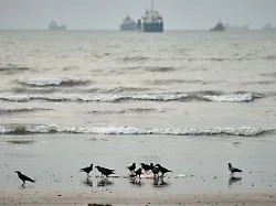 Saudische Öl-Pipeline dicht: Schiff in der Straße von Hormus beschossen