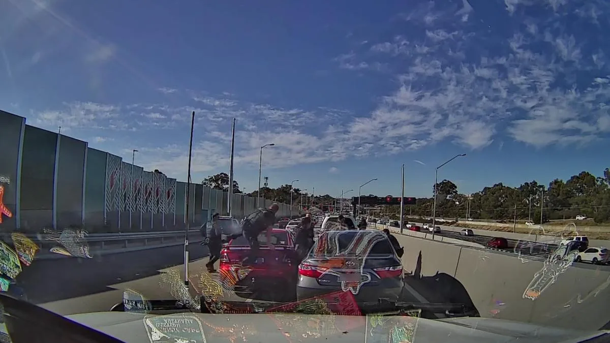 Dash-cam footage reveals dramatic WA Police arrest of Ford Falcon driver on Warwick Mitchell Freeway ramp