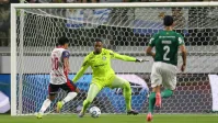 Palmeiras “rouba” jovem do Cruzeiro com multa de R$ 592 milhões