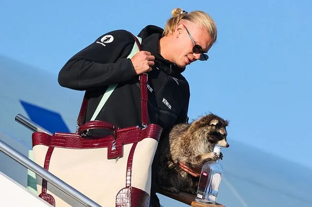 Erling Haaland's £100k purchase he gave away, odd taxidermy splurge, £22m property empire