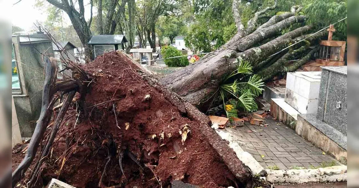 Chuva e vento forte causam danos em diferentes locais de Ivaiporã