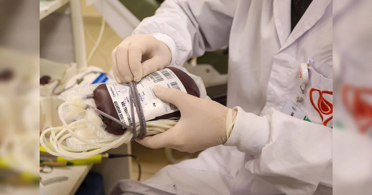Hemepar reforça importância de doadores de sangue manterem a constância