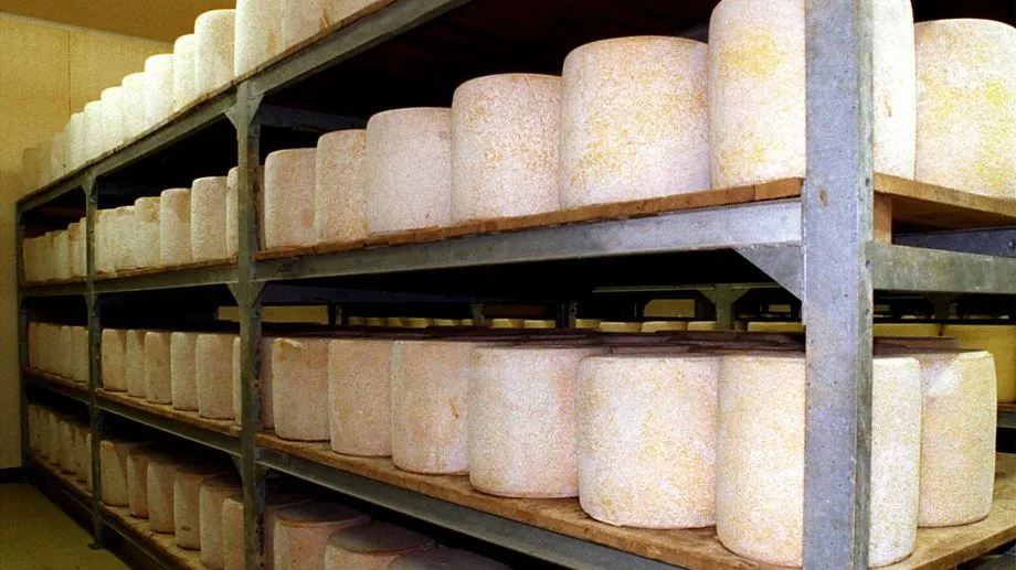 Sécheresse : l'assouplissement des règles autorisé pour les fromages AOP d'Auvergne
