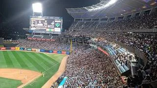 LVBP: Leones y Bravos tienen un historial reñido cuando juegan en el Estadio Monumental