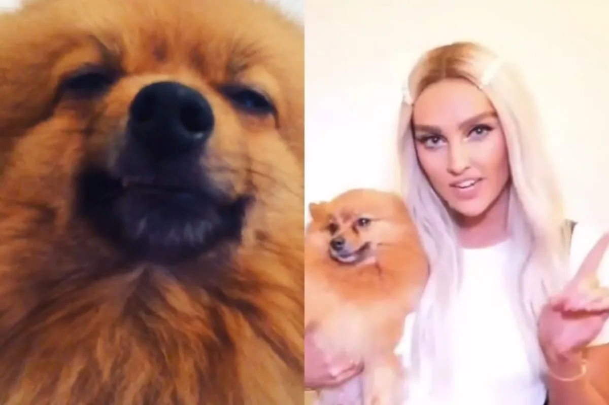 Perrie Edwards says 'my heart is broken' following upsetting loss