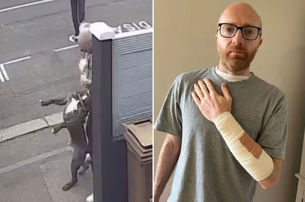 'My three-year mission to track down dog which mauled me as Mirror praised by judge'