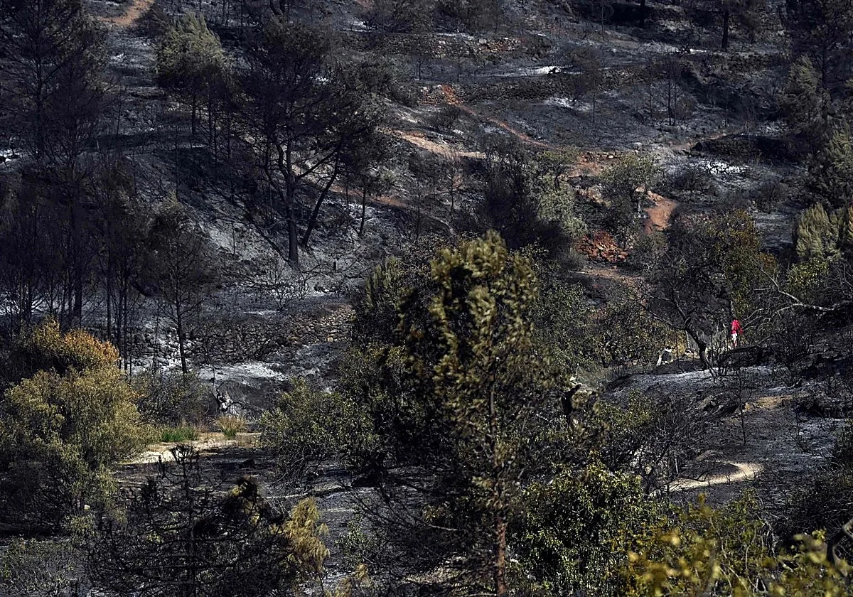 Deniegan el pago de dietas a policías desplazados una semana al incendio de La Vall por un bocadillo