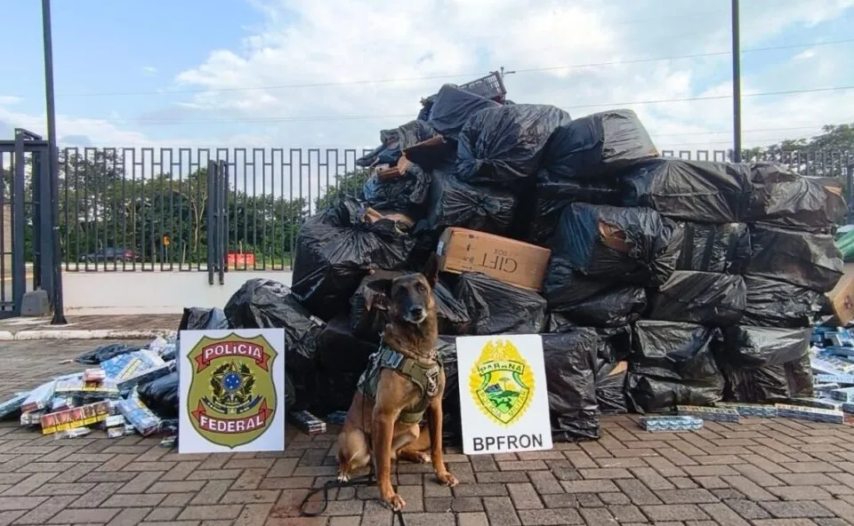 Montanha de cigarros! Denúncia leva polícia a depósito clandestino de contrabando
