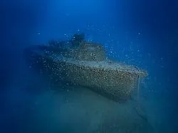 Ein Torpedoboot und zwei U-Boote: Taucher finden drei deutsche Wracks aus dem Zweiten Weltkrieg
