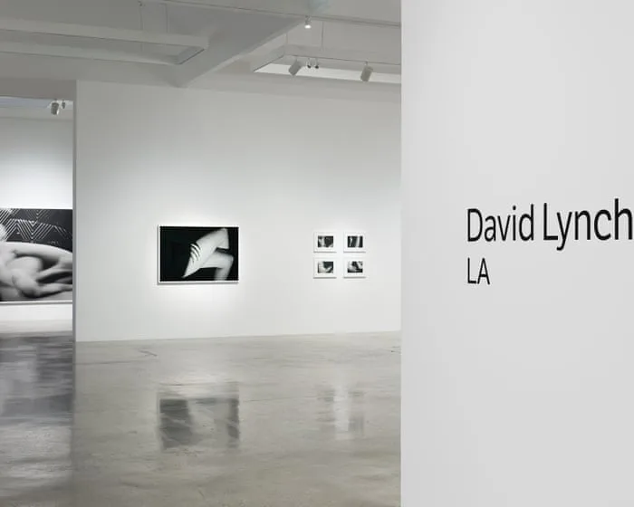 ‘He made something every single day’: David Lynch’s inscrutable photography celebrated in LA show